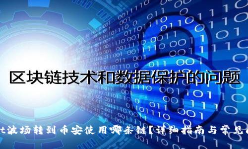 tpWallet波场转到币安使用哪条链？详细指南与常见问题解答